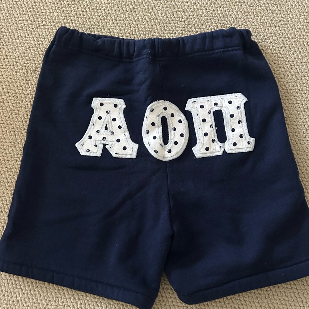 Vintage Alpha Omicron Pi Russell Athletic sweat shorts with letters, EUC